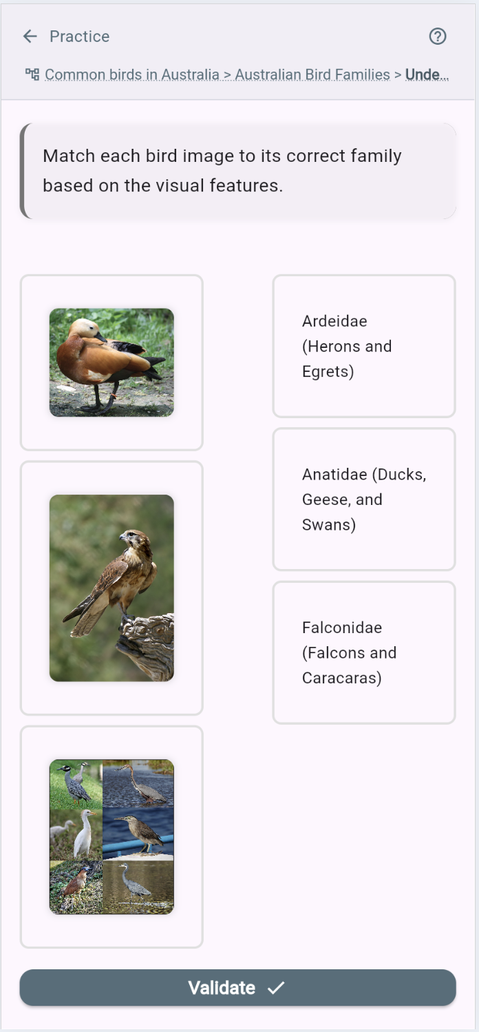 Association image-texte