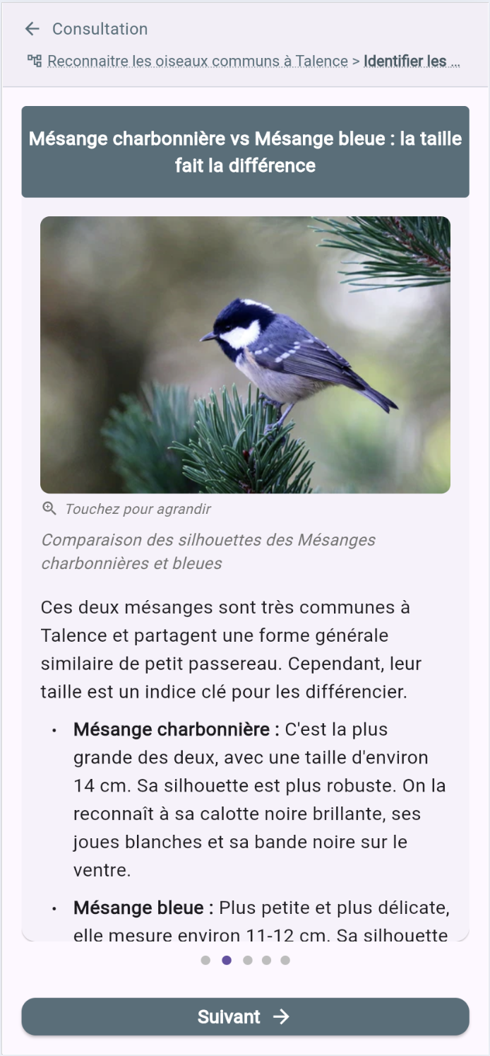 Collection de contenus personnalisés