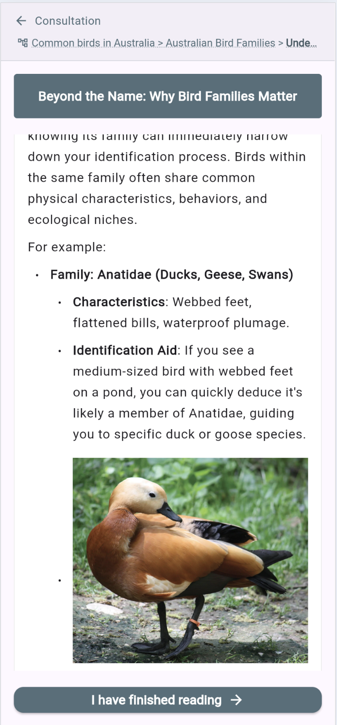 Texte enrichi avec image